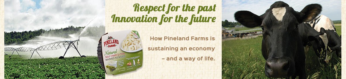banner-sustainability